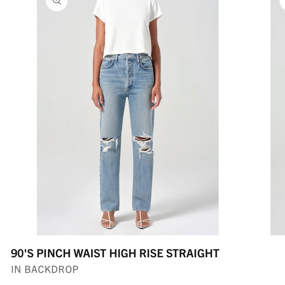 Agolde 90s pinch waist
